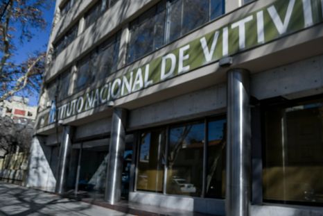 El INV anunció el aumento de aranceles y desató una nueva polémica en la vitivnicultura. El INV anunció el aumento de aranceles y desató una nueva polémica en la vitivnicultura.