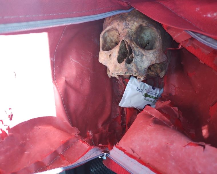 El cráneo hallado por efectivos de seguridad