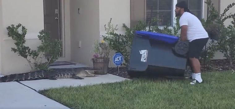 Abdul Gene Malik atrapó al animal con un bote de basura Foto: Captura del video