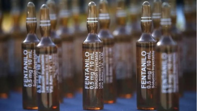 La Justicia Federal busca localizar tres lotes determinado que fueron enviados a distintas provincias: 31202, 31244 y 31200. Foto: NA