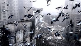Palomas, ejemplo de animales que se adaptan a las ciudades, según el descubrimiento. Foto Efe Palomas, ejemplo de animales que se adaptan a las ciudades, según el descubrimiento. Foto Efe