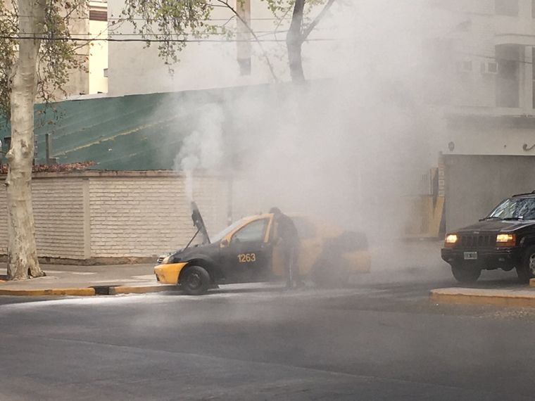 Foto: Gentileza lector MDZ