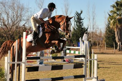 MDZol | Foto: Pablo Matar/Mediamza.com