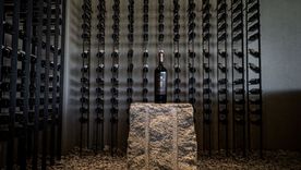 Una de las bodegas más importantes de Valle de Uco. Una de las bodegas más importantes de Valle de Uco.