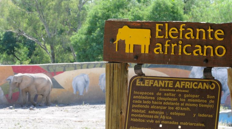 Foto: Pachy Reynoso/MDZ