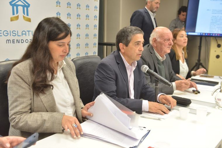 El Senado avanzó con el despacho de la reforma constitucional.&nbsp;
