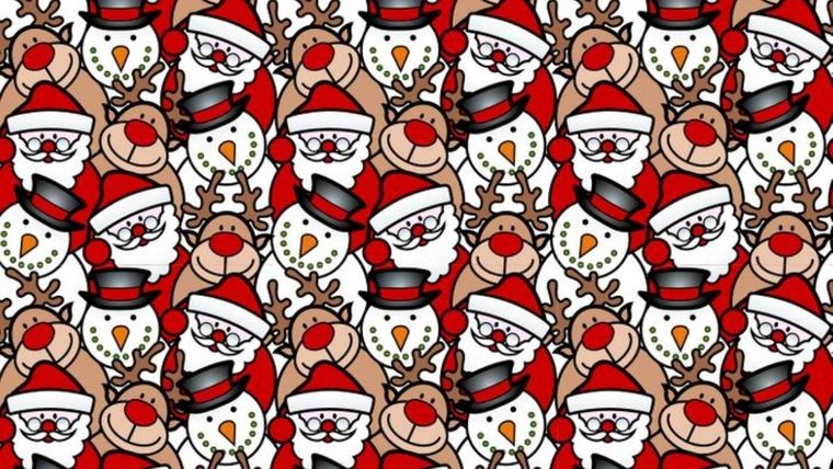 Acertijo visual, reto visual, nariz