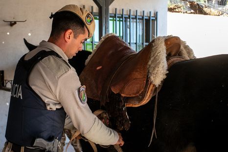 La Policía Rural detectó carne en mal estado en Maipú y recuperó caballos en Lavalle La Policía Rural detectó carne en mal estado en Maipú y recuperó caballos en Lavalle