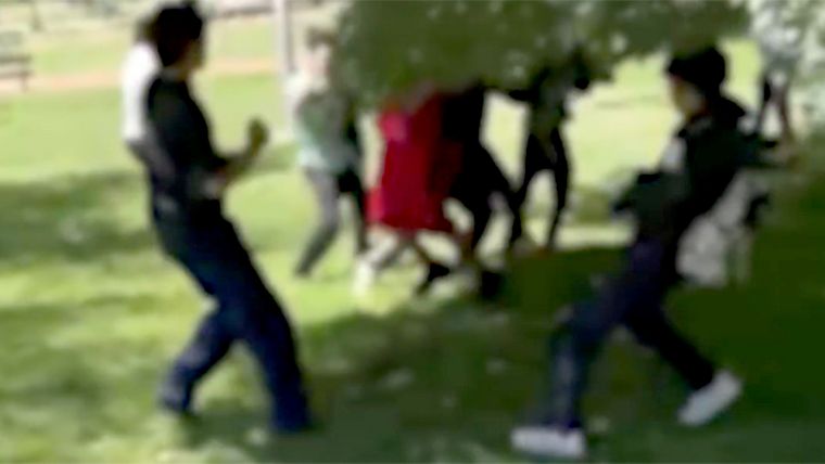La empatía como antídoto: claves para entender y frenar la violencia en las aulas.