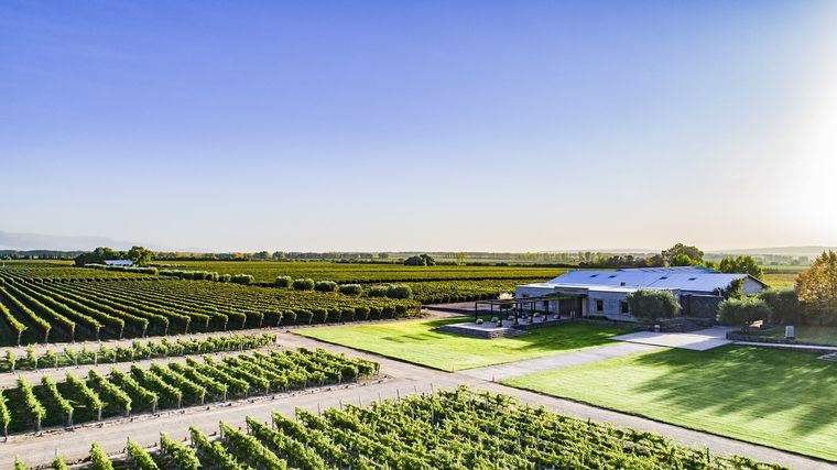 Una panorámica de Bodega Pulenta Estate.