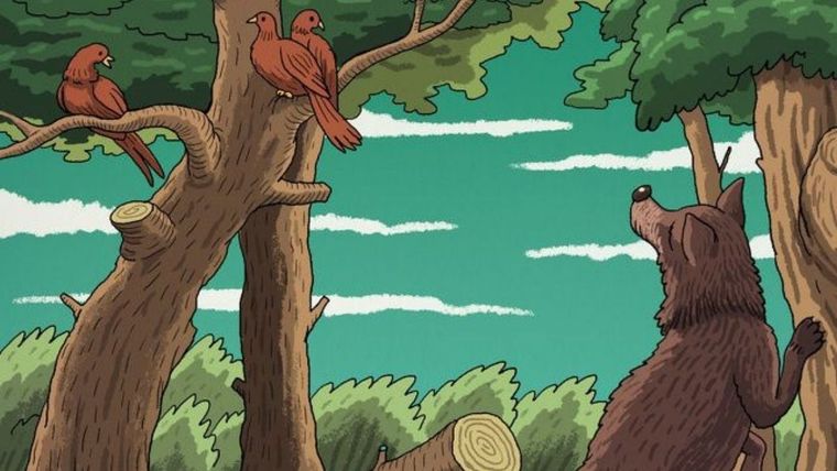 Acertijo visual, reto visual, animales