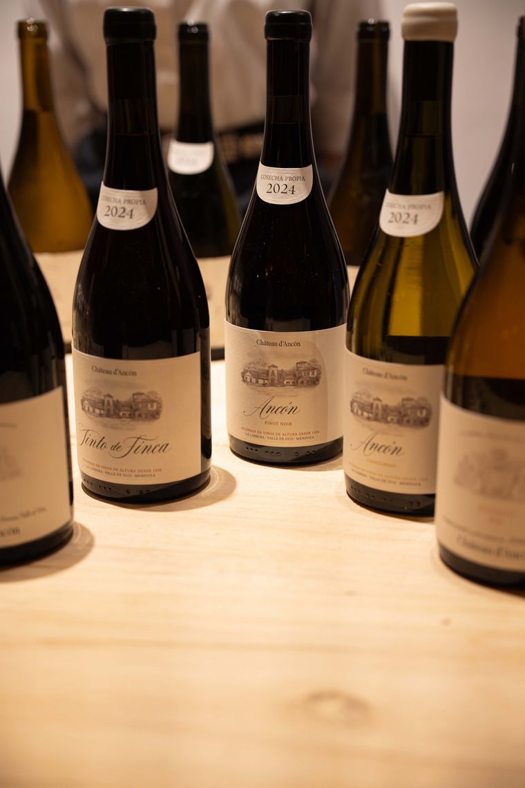 Un close up de algunos de los vinos que se sirvieron en la velada. Un close up de algunos de los vinos que se sirvieron en la velada.