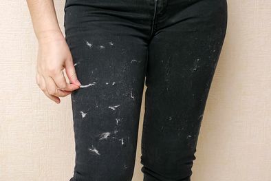 MDZol | Los pelos de las mascotas se pegan en la ropa Foto: SHUTTERSTOCK
