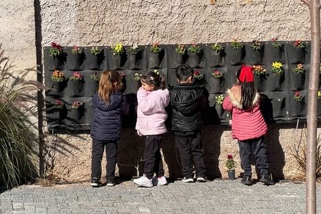 La propuesta del colegio incluye huerta, juegos, normas de tránsito y espacios de lectura para que los chicos aprendan fuera del aula. La propuesta del colegio incluye huerta, juegos, normas de tránsito y espacios de lectura para que los chicos aprendan fuera del aula.