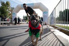 Una divertida actividad para disfrutar junto a las mascotas Foto: Prensa Ciudad de Mendoza