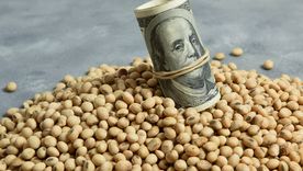 La cosecha de trigo y cebada impulsó las exportaciones del sector en diciembre. Foto: Shutterstock La cosecha de trigo y cebada impulsó las exportaciones del sector en diciembre. Foto: Shutterstock