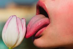 sexualidad: ¿el 69 en la primera cita? claves para el nivel sexo oral