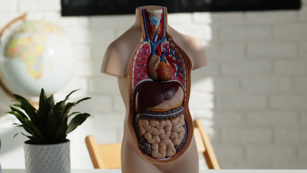 La iniciativa universitaria que permite donar el cuerpo para formar médicos