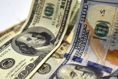 Foto: ALF PONCE / MDZ