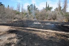 El fuego arrasó con más de 200 metros cuadrados de uno de los predios del Parque General San Martín Foto: Alf Ponce El fuego arrasó con más de 200 metros cuadrados de uno de los predios del Parque General San Martín Foto: Alf Ponce