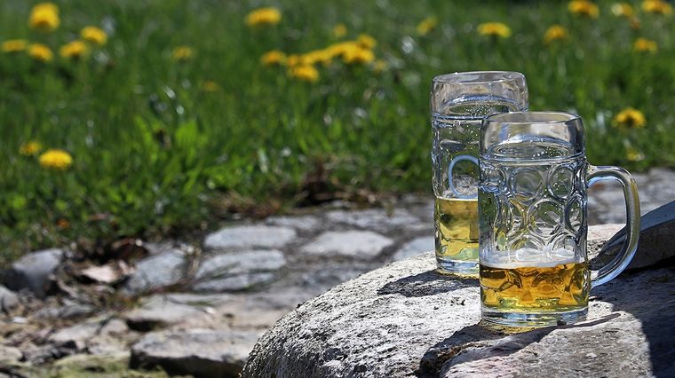 Disfruta de tu cerveza y usa lo que sobre para cuidar tus plantas Foto: Cocina fácil