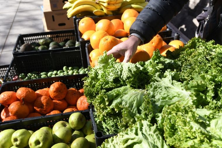 Algunas verduras aumentaron considerablemente Foto: ALF PONCE MERCADO / MDZ