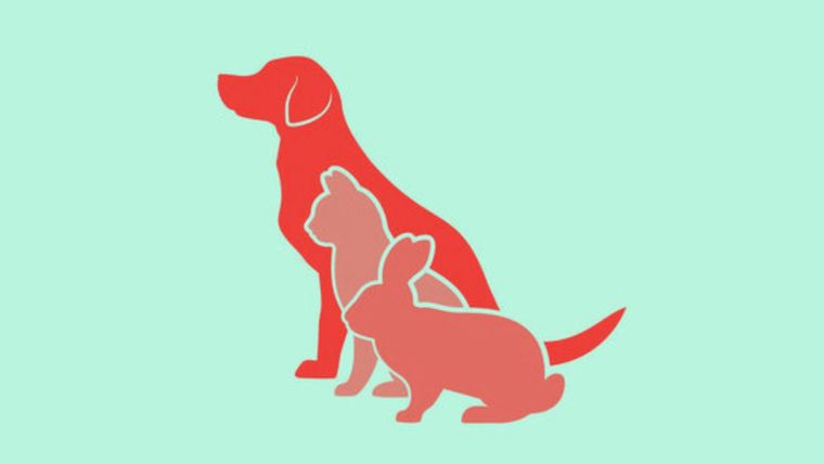 Test de personalidad