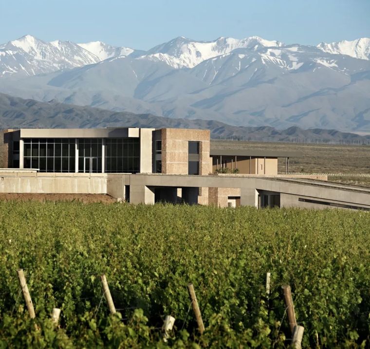 El imponente paisaje de bodega Diamandes, donde est&aacute; ubicado Diam`s.