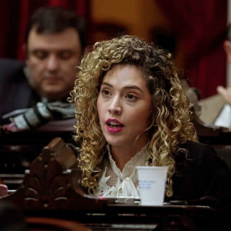 La diputada mendocina Lourdes Arrieta se defiende en la sesión. Foto: X:@lulimicart