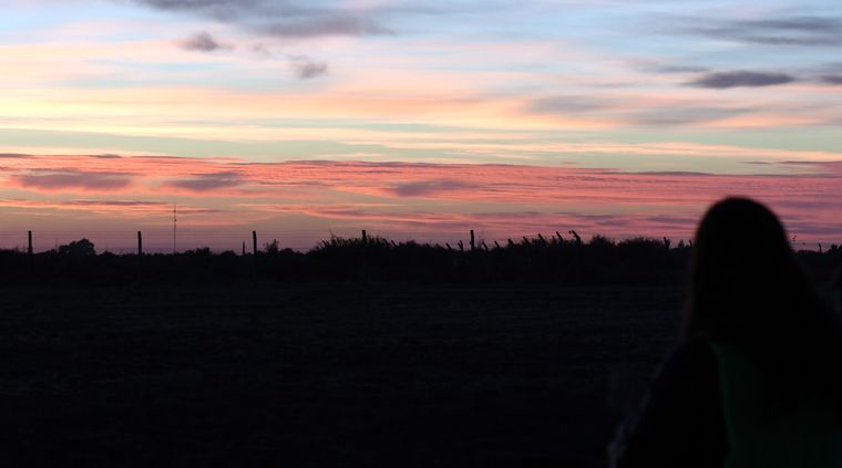 Foto: ALF PONCE / MDZ