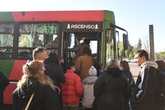 El beneficio aplica a recorridos urbanos, media y larga distancia Foto: Rodrigo DAngelo / MDZ