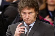 Una encuesta realizada por la consultora Reale/Dalla Torre arroja como dato un crecimiento en la imagen positiva de Javier Milei y otros referentes del oficialismo nacional Foto: NA