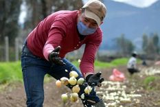 5 efectos devastadores que la pandemia tendrá en las economías de Latinoamérica