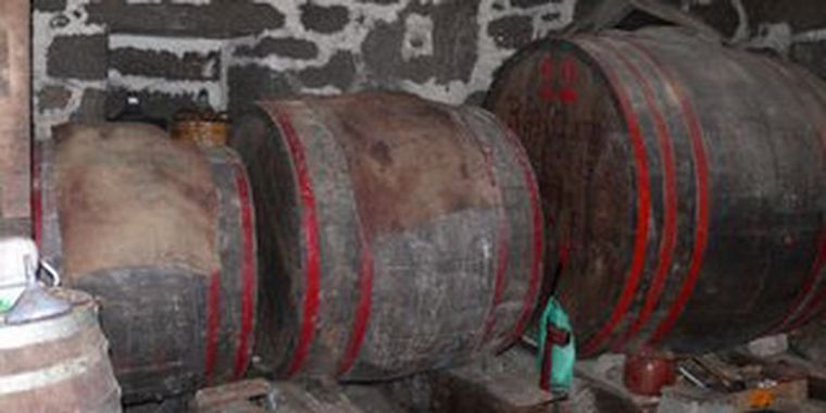 El vino casero lavallino tiende a mejorar su calidad y producción. Foto: MDZ