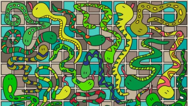 Acertijo visual, reto visual, cinturón Pinterest Foto: Pinterest