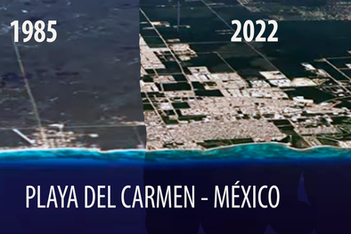 MDZol | El antes y el después de Playa del Carmen. Foto: Google Earth