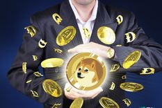 WifeDoge es un clon de la criptomoneda Dogecoin. Foto: SmoPanamá.