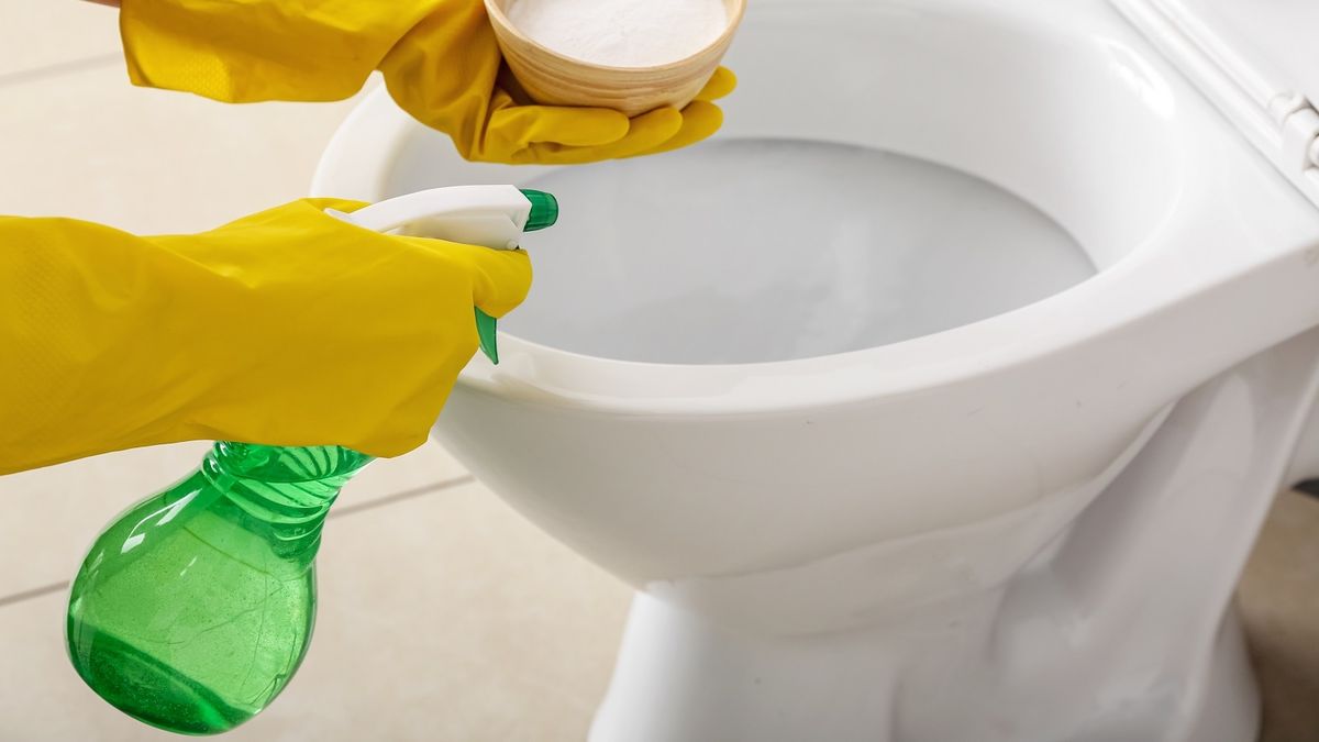 Sal en el inodoro: el truco casero que mejora la limpieza del baño