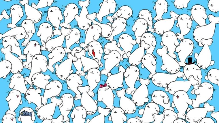 Acertijo visual, reto visual, malvavisco