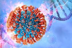 beta: la variante de coronavirus que tiene mas letalidad