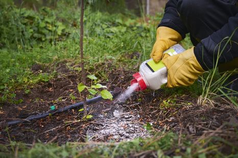 Un secreto para retirar las plagas. Un secreto para retirar las plagas.