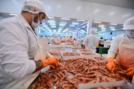 aisa group compra la pesquera cabo virgenes sa aisa group compra la pesquera cabo virgenes sa