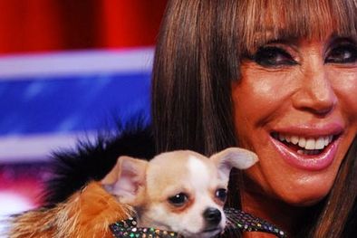 MDZol | Foto: Diario Show