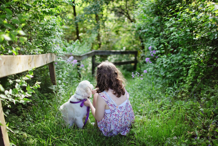 Estos son los mejores consejos al elegir las herramientas de jardinería para la decoración de tu hogar. Foto: Pixabay - pixabay.com