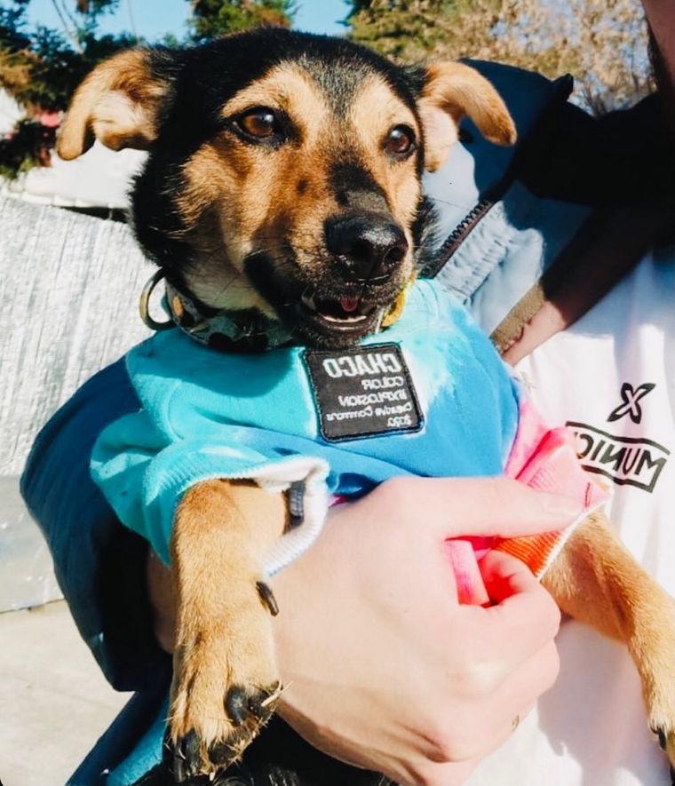 Foto: @liberen_a_coco