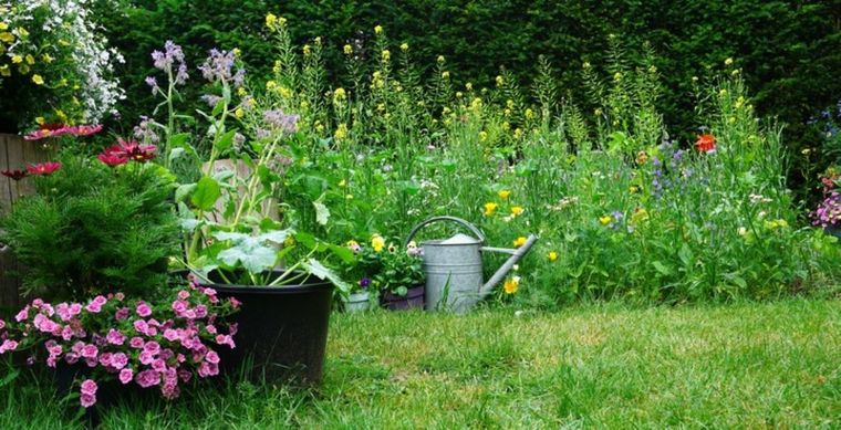 Ten un jardín lleno de flores inclusive en esta temporada. Foto: Shutterstock
