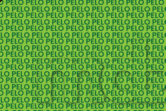 Estos acertijos visuales cumplen una doble función: ofrecen un momento de diversión y, al mismo tiempo, ejercitan la mente Foto: Archivo MDZ