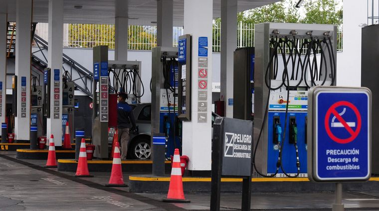 Foto: ALF PONCE / MDZ