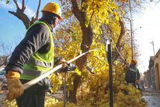 La calle Viamonte estará cortada por trabajos de poda. 