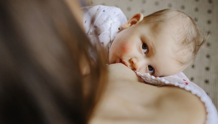 El estudio analizó las muestras de 33 personas vacunadas con Pfizer y que estuvieran dando de mamar. Foto: Freepik